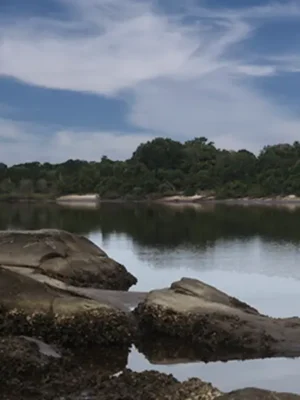Trilha do Itaguaré