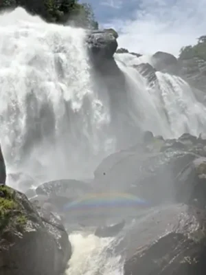 Trilha da Cachoeira do Elefante