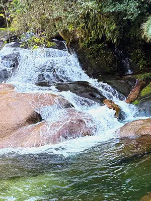 Trilha do Guaratuba